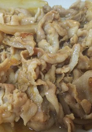 簡単定番・普通の豚肉と玉葱の甘辛生姜焼-レシピのメイン写真