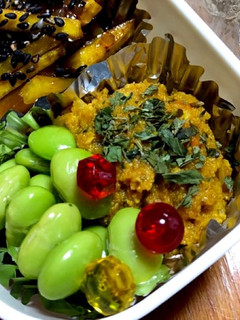 おからカレー味-レシピのメイン写真