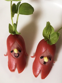 簡単 キャラ弁 おかず 着ぐるみ星人④-レシピのメイン写真