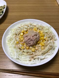 ズボラ美味しい★サラダうどん-レシピのメイン写真