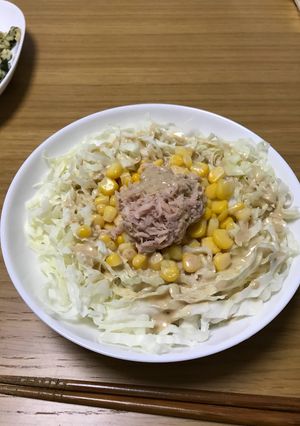 ズボラ美味しい★サラダうどん-レシピのメイン写真