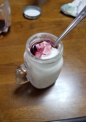 豆乳のパンナコッタ-レシピのメイン写真