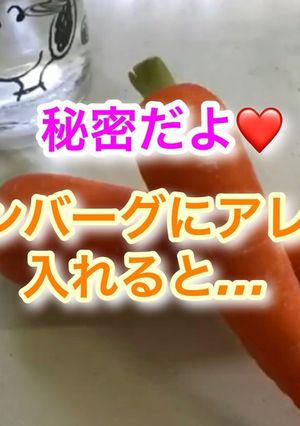 ハンバーグに入れると美味しくなるもの-レシピのメイン写真
