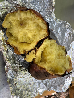 キャンプの炭火で簡単焼き芋-レシピのメイン写真