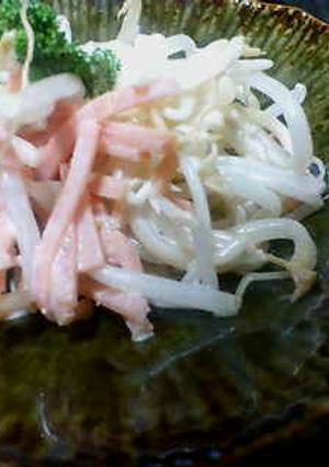 もやしの中華風サラダ-レシピのメイン写真