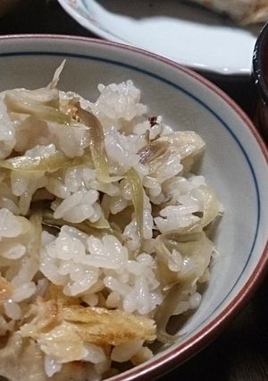 みょうがご飯-レシピのメイン写真