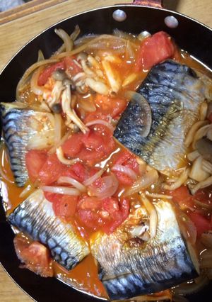 塩サバのトマト煮込-レシピのメイン写真