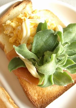 ぷちぷち♪プッチーナサンド-レシピのメイン写真