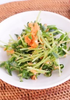 豆苗のサラダ にんじんドレッシング-レシピのメイン写真
