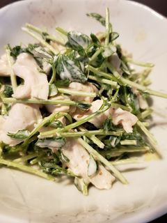 ささみと豆苗のマヨゴマ和え-レシピのメイン写真