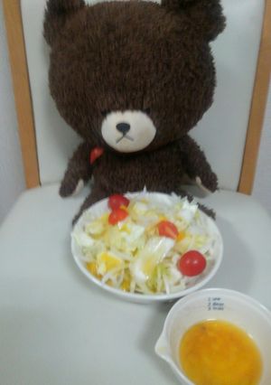 生玉ねぎスライス白菜キャベツサラダ-レシピのメイン写真