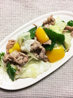 彩り☆後がけアレンジ☆低糖質塩野菜炒め-レシピのメイン写真