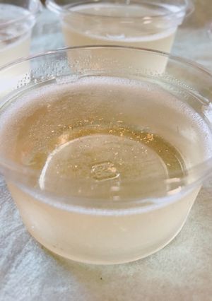 簡単！炭酸 ☆ノンアル☆ウメッシュゼリー-レシピのメイン写真