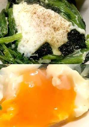 ポリ袋で作るほうれん草のポーチドエッグ-レシピのメイン写真
