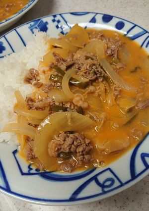 ママのビーフストロガノフ-レシピのメイン写真