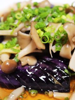 なすの揚げ浸し(秋三昧)-レシピのメイン写真