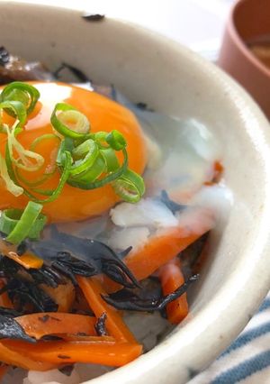 ひじきの煮物丼-レシピのメイン写真
