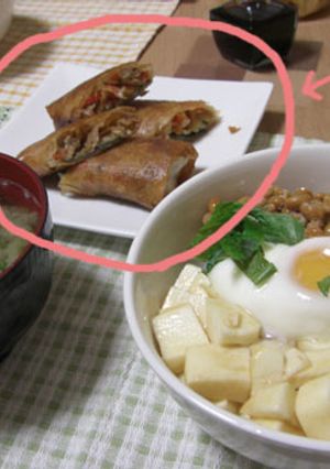 切干大根で春巻き-レシピのメイン写真