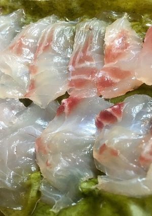 美川天然真鯛で昆布締めの作り方-レシピのメイン写真