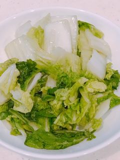 塩麹と昆布茶で、シャキシャキ白菜の漬物!-レシピのメイン写真