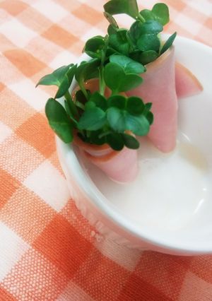 お弁当に！カイワレにハム巻き！-レシピのメイン写真