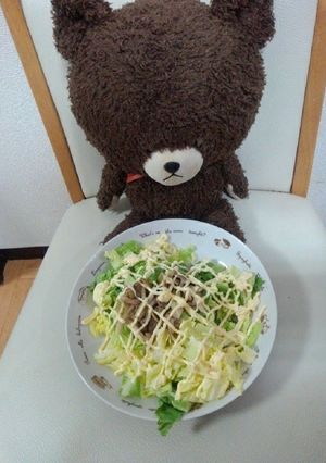 白菜のサラダ！-レシピのメイン写真