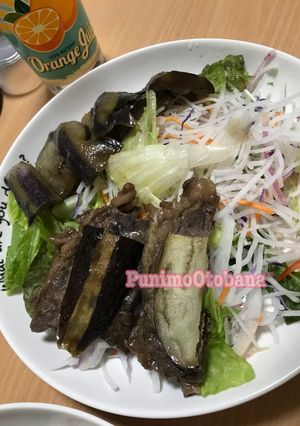 簡単やわらか✾牛カルビと茄子の洋風煮込み-レシピのメイン写真