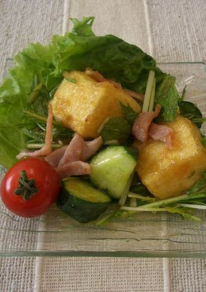揚げ出し豆腐の中華おろしサラダ-レシピのメイン写真