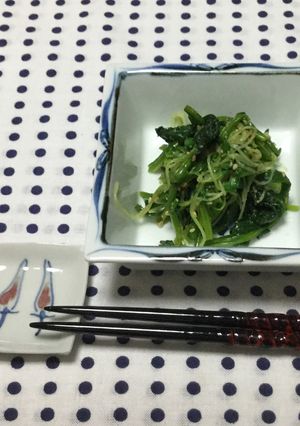 ほうれん草&カイワレで☆胡麻和え-レシピのメイン写真