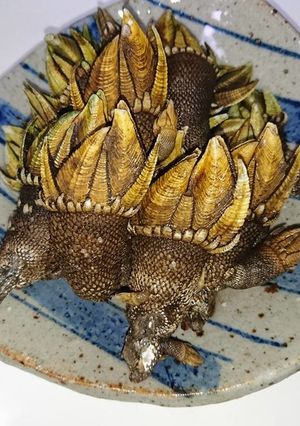 さとうみの出汁　カメノテの酒蒸-レシピのメイン写真