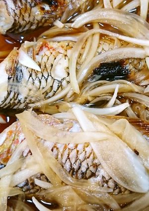 皮目の旨さ。青ギゾ（キュウセン）の酢漬け-レシピのメイン写真