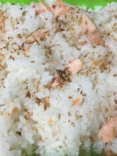 炊飯器でサーモンライス。-レシピのメイン写真