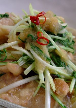 鶏肉と水菜のみぞれ煮☆-レシピのメイン写真