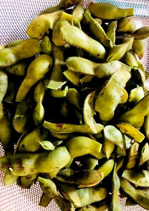 今が旬！生の黒枝豆の茹で方-レシピのメイン写真