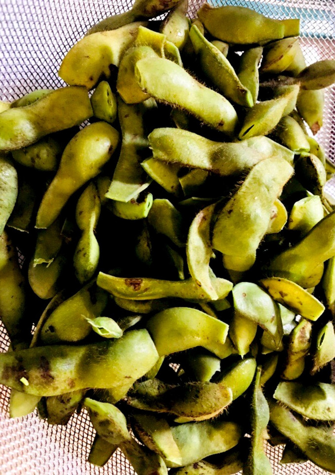 今が旬！生の黒枝豆の茹で方-レシピのメイン写真