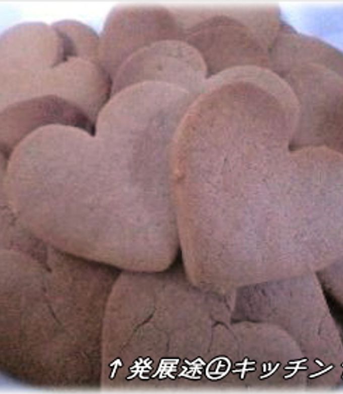 卵&バター不使用!ココアクッキー♪-レシピのメイン写真