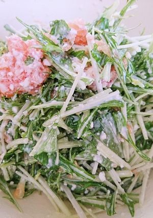 水菜とグレープフルーツのサラダ-レシピのメイン写真