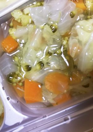 アレンジたくさん野菜煮 離乳食後期-レシピのメイン写真