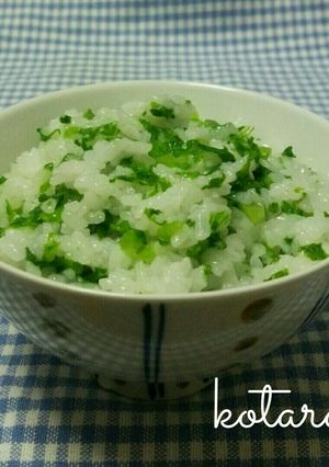 わさび菜飯-レシピのメイン写真