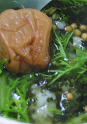 わさび菜と貝割れのお茶漬け-レシピのメイン写真