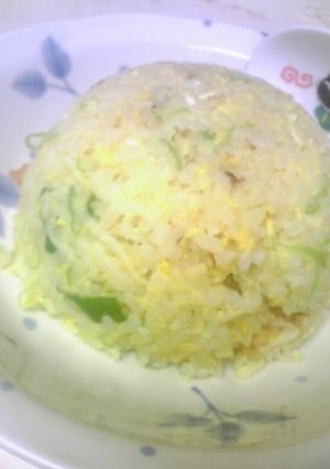 ネギ塩☆黄金炒飯♪-レシピのメイン写真