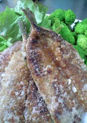 簡単美味しい〜うちの鰯の蒲焼き-レシピのメイン写真