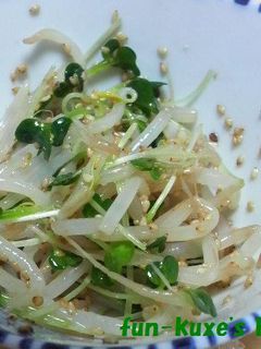 もやしとかいわれのナムル風-レシピのメイン写真