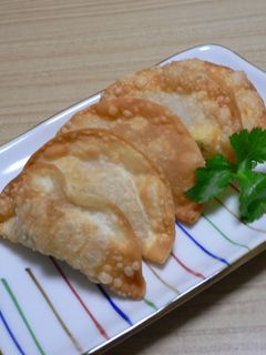 ☆イロイロ★揚げ餃子☆-レシピのメイン写真