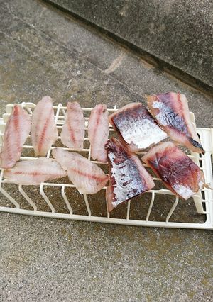 簡単！ボラとカマスの一夜干し-レシピのメイン写真