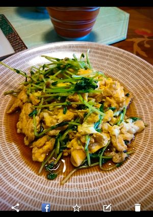 すぐできるみょうたま(豆苗と卵)-レシピのメイン写真