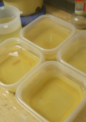 ☆味噌汁のだし☆５回分まとめて♪-レシピのメイン写真
