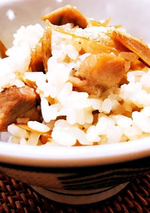 鶏ごぼうの混ぜご飯-レシピのメイン写真
