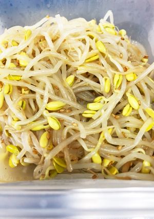 豆もやしのナムル 冷蔵庫で5日保存-レシピのメイン写真