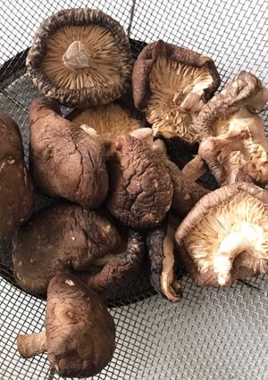 簡単干し椎茸(๐•ω•๐)♡-レシピのメイン写真